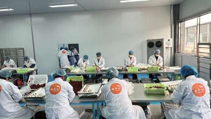 攜手阿里，智造未來 裕鑫博康借力淘工廠加速產業數字化升級